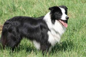 23-08- 2007 115 (111).jpg